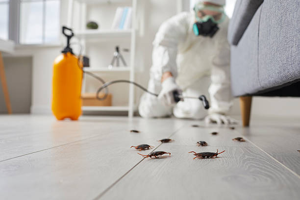 Commercial Kitchen Cockroach Control in Monroe City